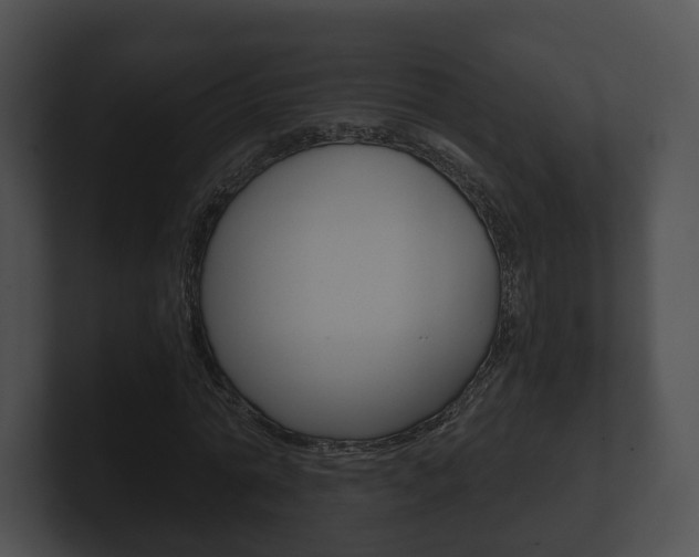 X0000100900774200806241029