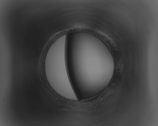 X0000100900776200806241029