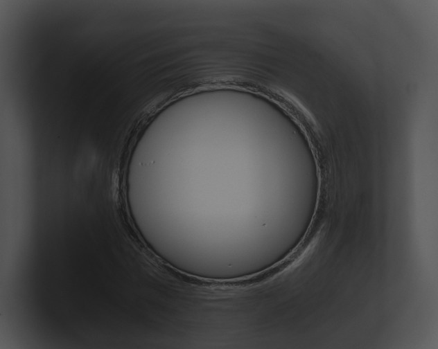 X0000100900777200806241029