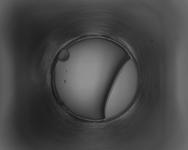 X0000100900779200806241029