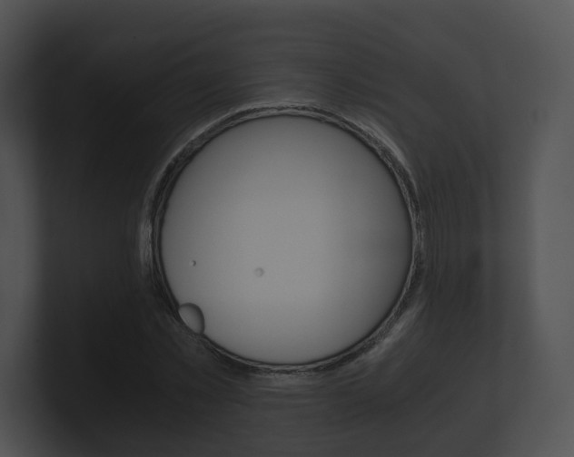 X0000100900781200806241029