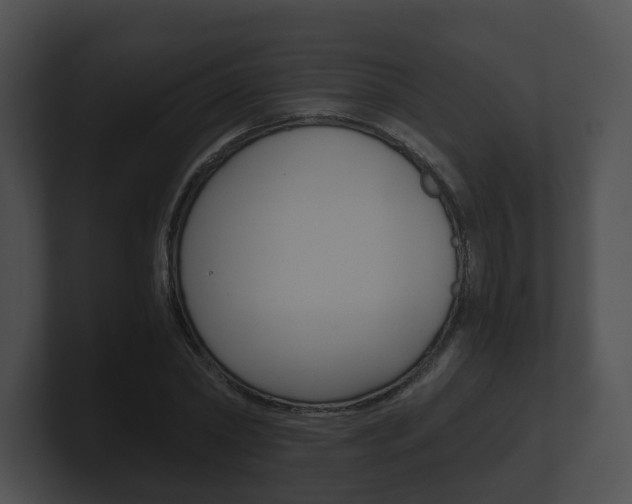 X0000100900782200806241029