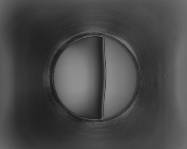 X0000100900783200806241029