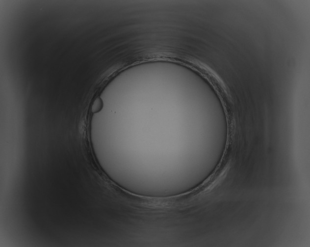 X0000100900785200806241029