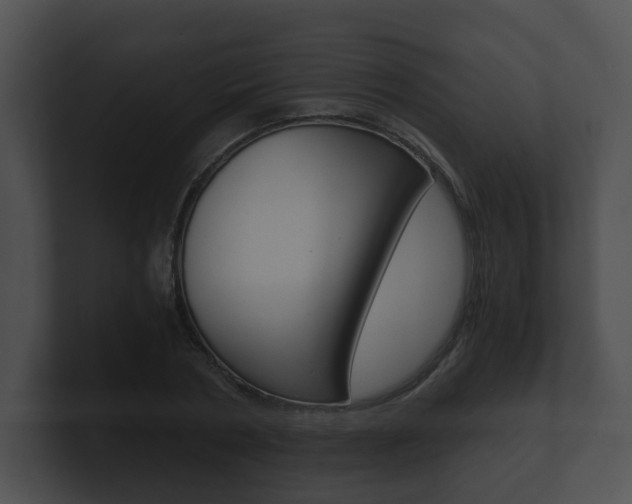 X0000100900786200806241029