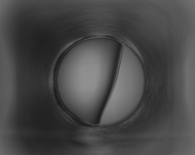 X0000100900787200806241029