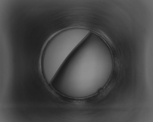 X0000100900788200806241029