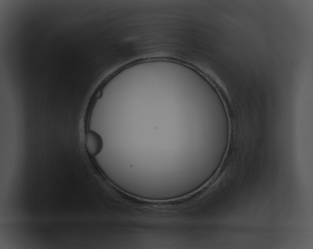 X0000100900789200806241029
