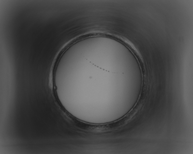 X0000100900791200806241029