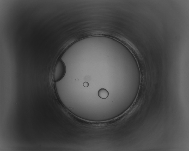 X0000100900793200806241029