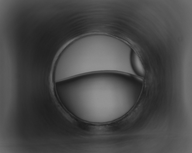 X0000100900796200806241029
