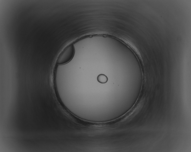 X0000100900797200806241029