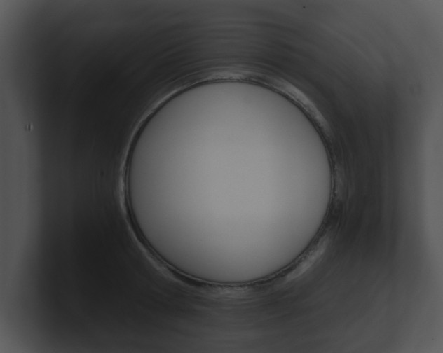 X0000100900802200806241029