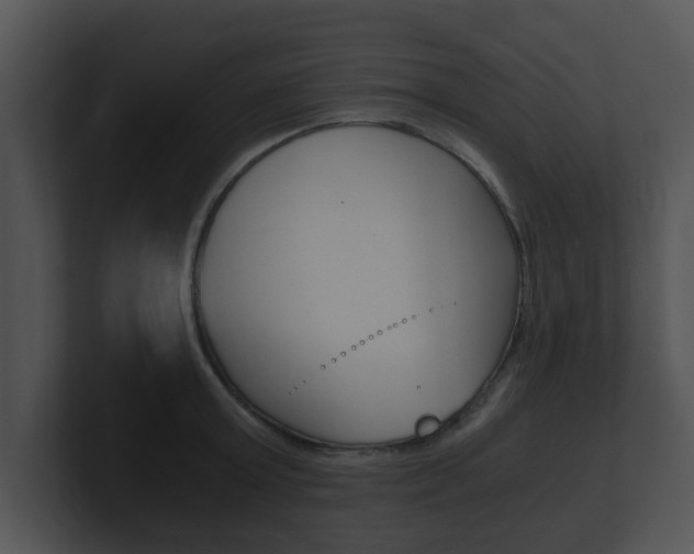 X0000100900803200806241029