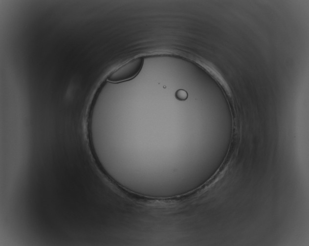 X0000100900805200806241029