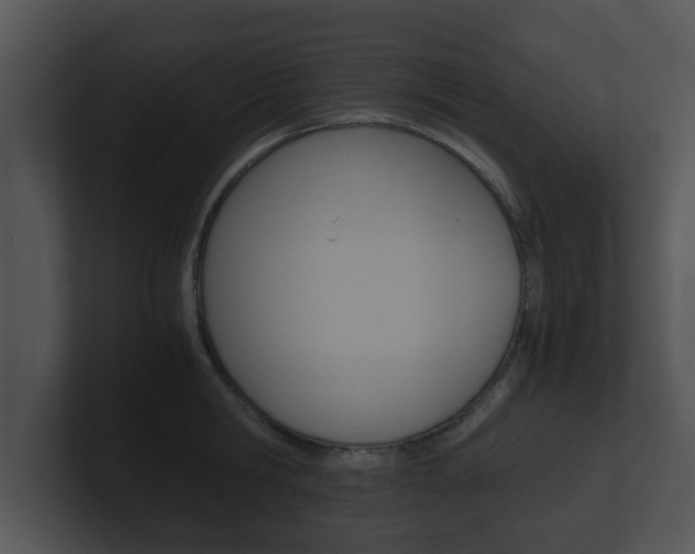 X0000100900806200806241029
