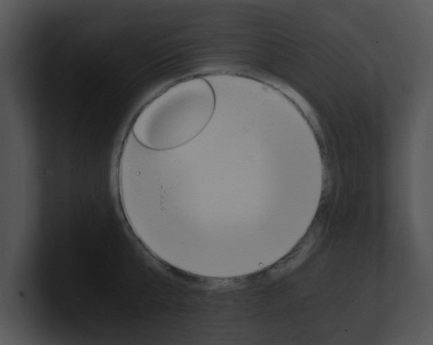 X0000100900807200806241029