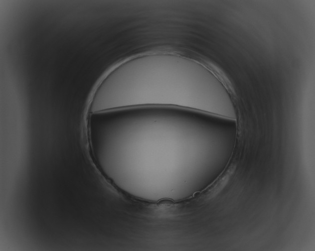 X0000100900808200806241029