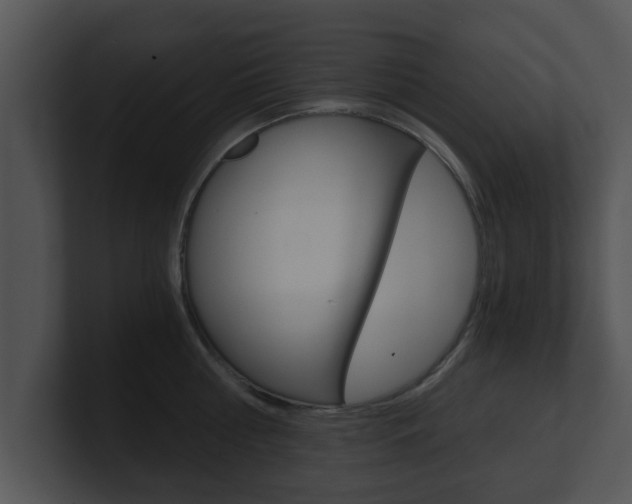 X0000100900810200806241029