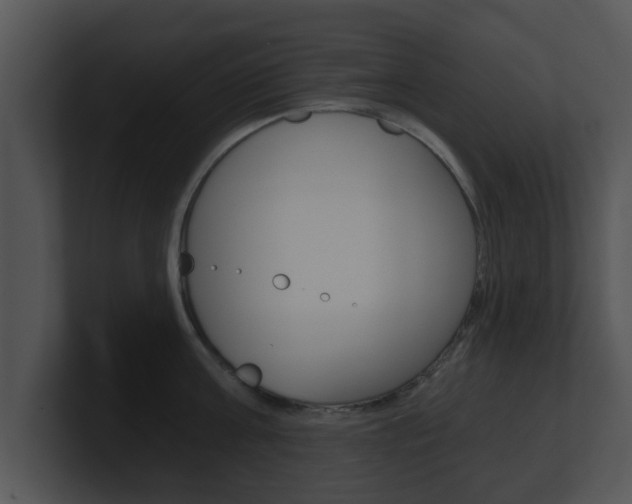 X0000100900811200806241029