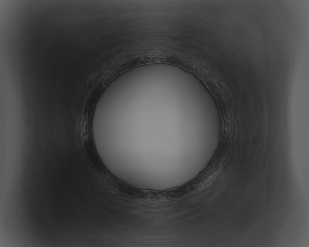 X0000100900818200806241028
