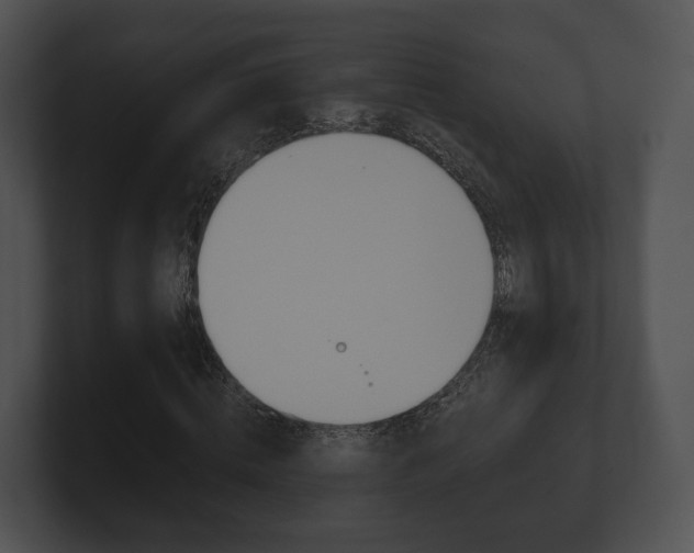 X0000100900820200806241028