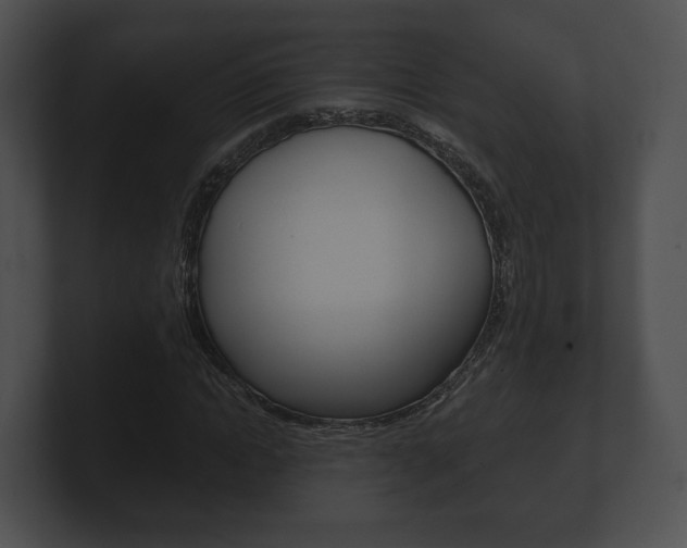 X0000100900822200806241028