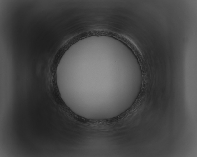 X0000100900823200806241028