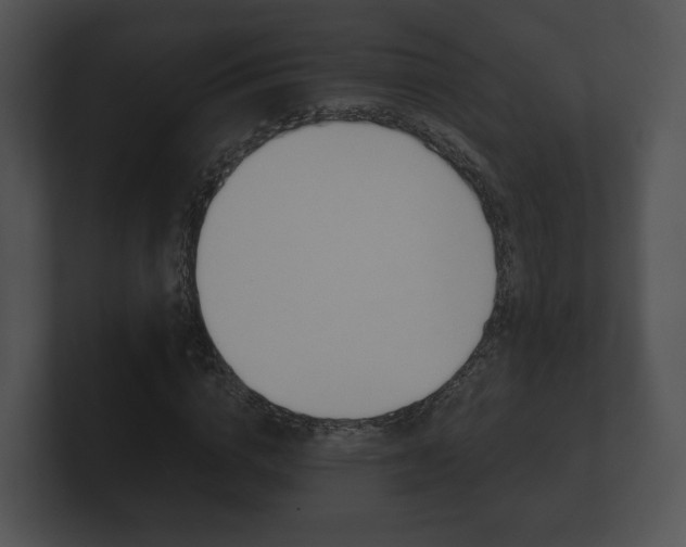 X0000100900824200806241028