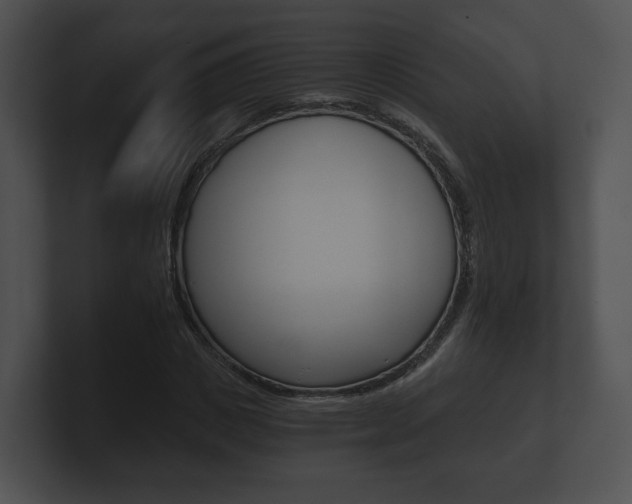 X0000100900825200806241028