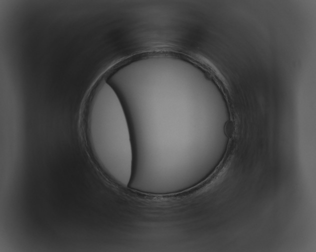 X0000100900827200806241028