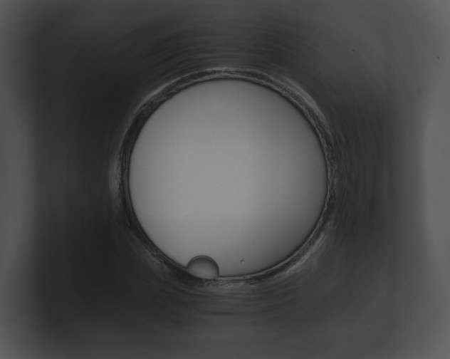 X0000100900831200806241028