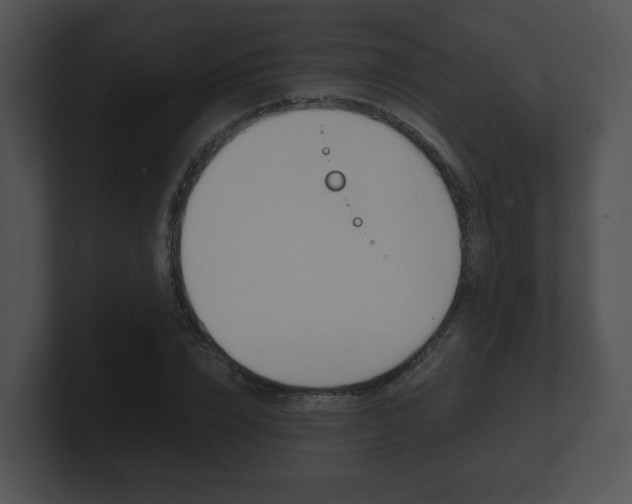 X0000100900832200806241028