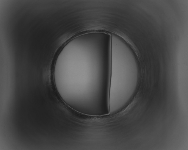 X0000100900834200806241028