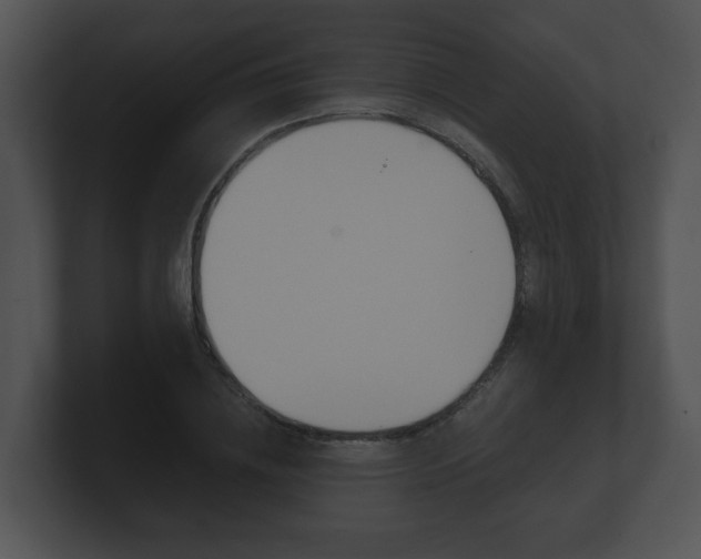 X0000100900836200806241029