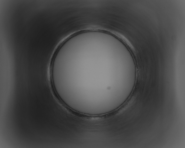 X0000100900839200806241029