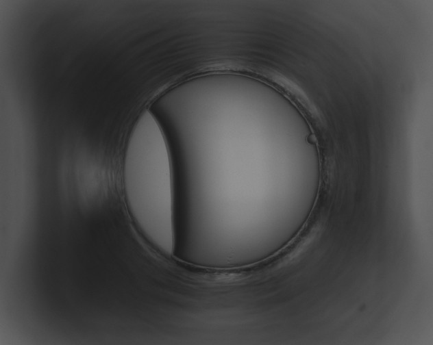 X0000100900841200806241029