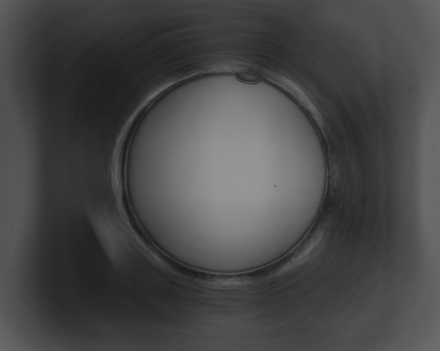 X0000100900843200806241029