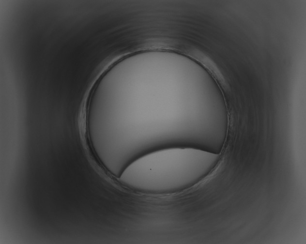 X0000100900844200806241029