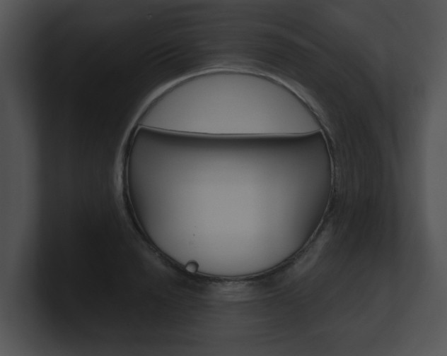 X0000100900846200806241029