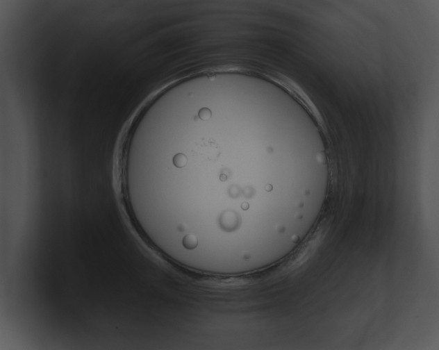 X0000100900851200806241029