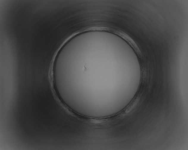 X0000100900852200806241029