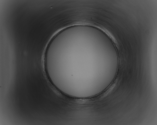 X0000100900854200806241029