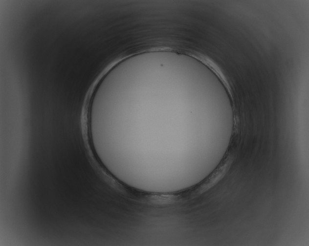X0000100900859200806241029