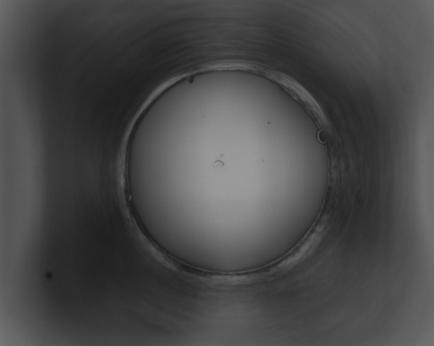 X0000100900860200806241029