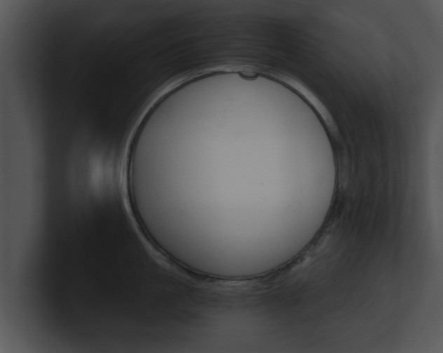 X0000100900861200806241029