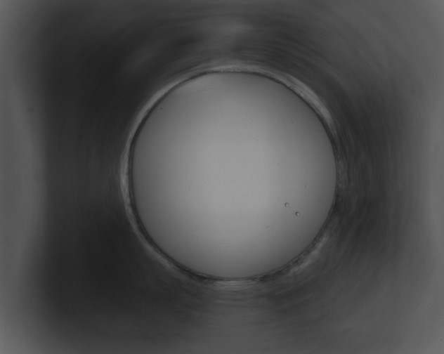 X0000100900863200806241029