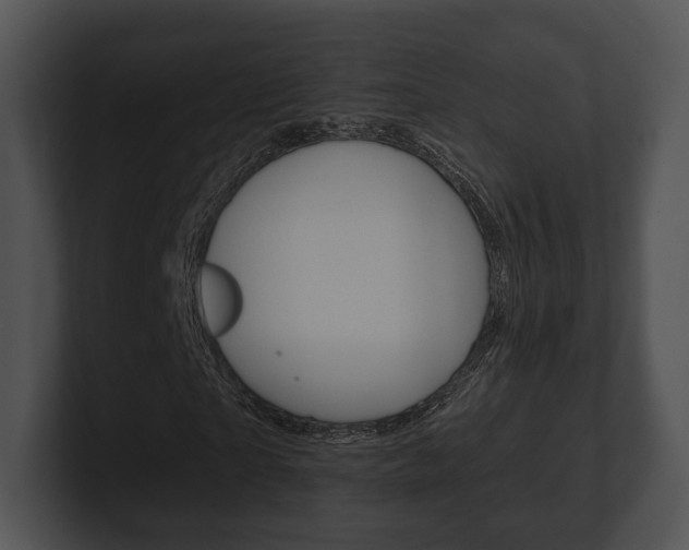 X0000100900865200806241028
