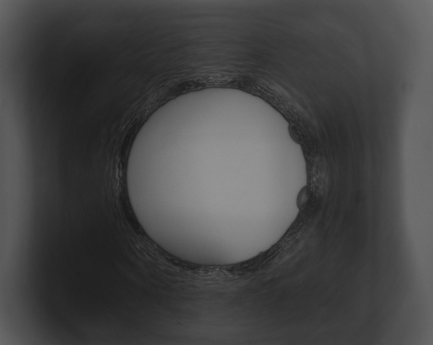 X0000100900866200806241028