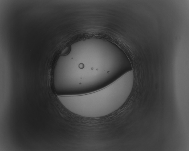 X0000100900868200806241028